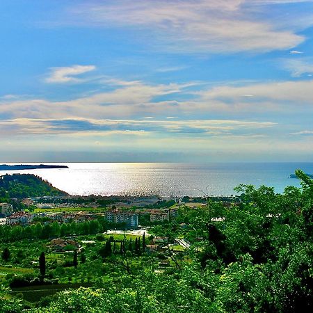 شقة Sea View Olive Retreat بورتوروز المظهر الخارجي الصورة